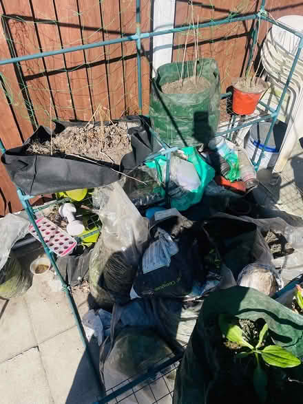Photo of free green house and bits (L30) #1