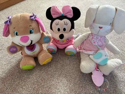 Photo of free Three soft toys interactive (Sutton in Ashfield NG17) #2