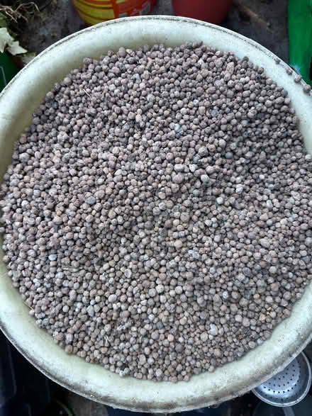 Photo of free Clay pellets for greenhouse bench (Isleworth TW7) #1