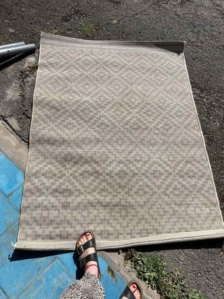 Photo of free Outdoor rug (Bayston Hill) #1