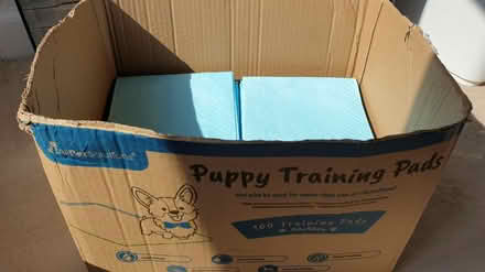 Photo of free Puppy training pads (Leicester LE2) #1