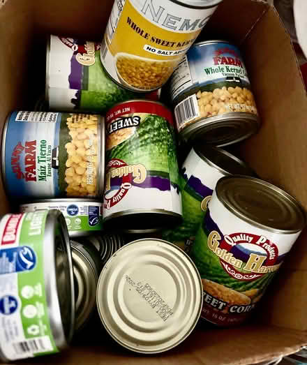 Photo of free Can Food Surplus (Financial District) #1