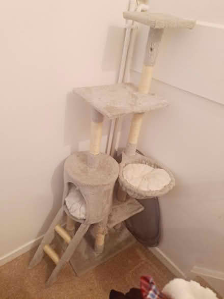 Photo of free Cat scratcher (Nottingham, Sneinton NG2) #1
