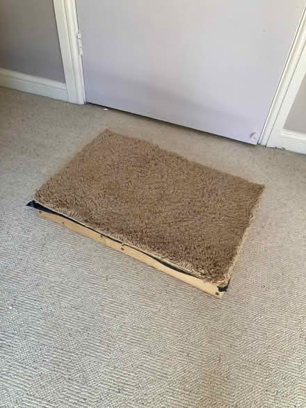 Photo of free Dog training mat / platform (Marlow SL7) #1