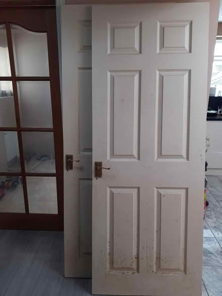 Photo of free 2 Doors (Sherborne) #1