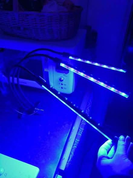 Photo of free Plant light (Eastbourne) #3