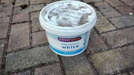 Photo of free White Emulsion paint (Mickleover DE3) #1