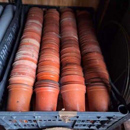 Photo of free Plant trays and 9cms brown pots (Rother TN35) #2