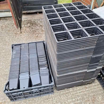 Photo of free Plant trays and pots (Rother TN35) #1