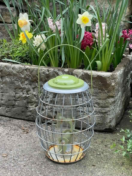 Photo of free Bird feeder (University of Bath) #1