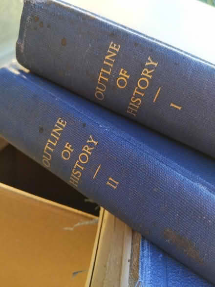 Photo of free 2 volumes of the outline of history (Gorse Hill GU22) #3