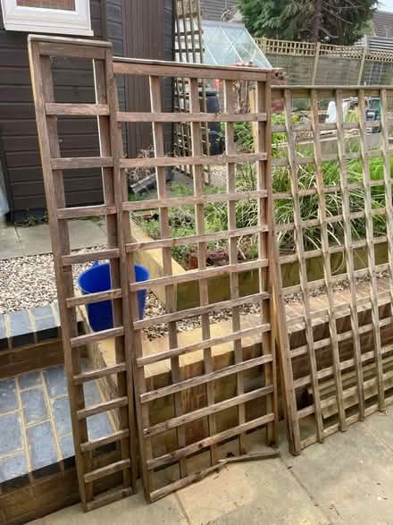 Photo of free Three Section Of Trellis (Northcourt OX14) #2