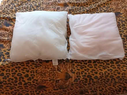 Photo of free Cushion inserts (Fareham PO14) #1