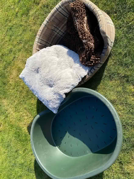 Photo of free Dog bedding (Upper Radley OX14) #2
