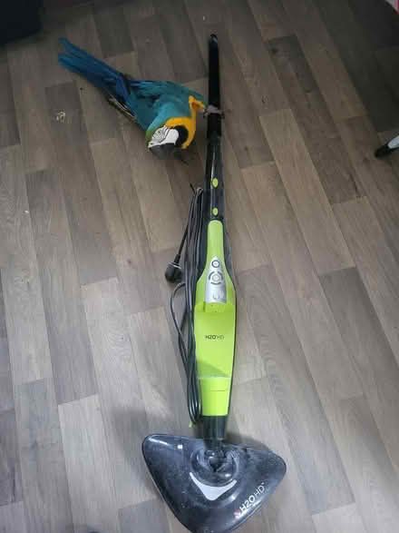 Photo of free H2O HD Steam mop (L36) #2
