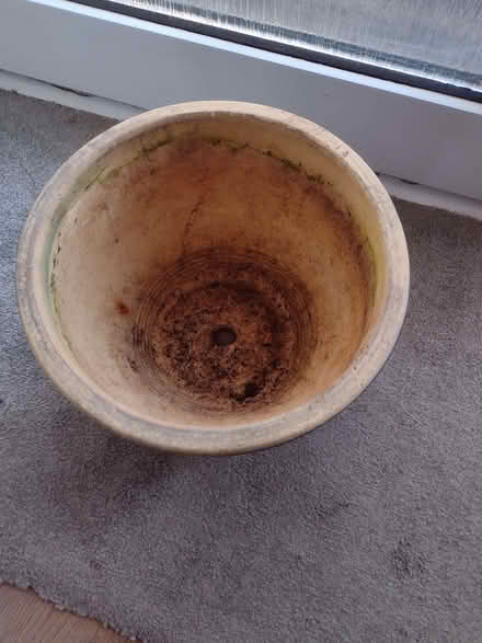 Photo of free Garden pot (Hatfield AL10) #3