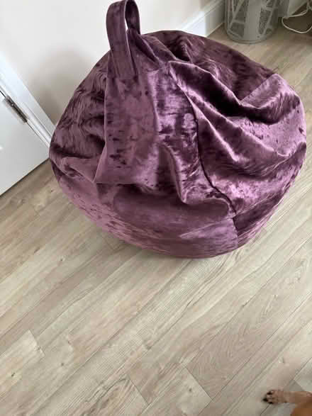 Photo of free Bean Bag in Purple velvet fabric (Halstead CO9) #3