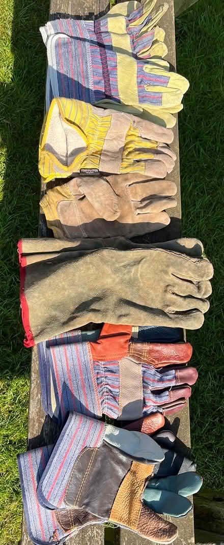 Photo of free Fibre pots and gloves (south hereford 3miles) #2