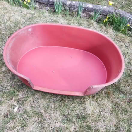 Photo of free Plastic dog bed (The Folly BN7) #2