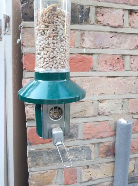 Photo of free Anti squirrel bird feeder (N5 Highbury) #2