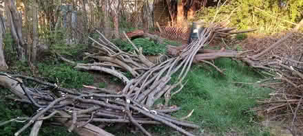 Photo of free Fire wood (Rakegate Estate WV10) #3