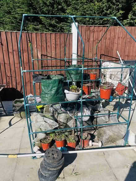 Photo of free green house and bits (L30) #2