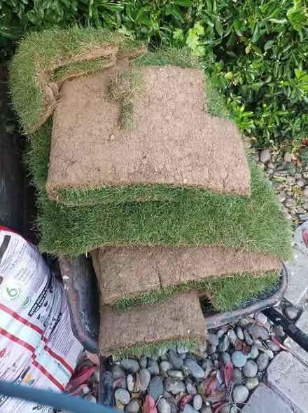 Photo of free Turf. 6 m2 plus approx 2 m2 off cuts. (Corner Hall HP3) #1