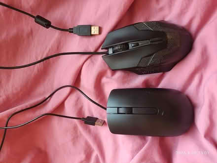 Photo of free Computer mice (S6 upperthorpe) #1