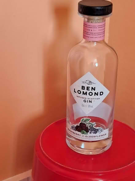 Photo of free Gin bottle (empty) (Highway SL6) #1