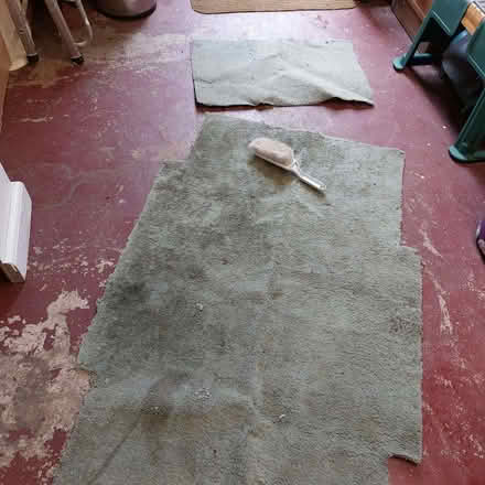 Photo of free Carpet offcuts for weed suppression (Fords Farm RG31) #2