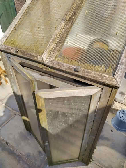 Photo of free Small greenhouse (SK23) #1