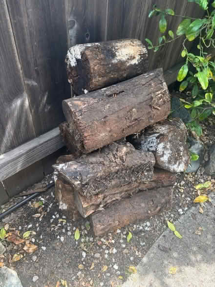 Photo of free Wood (East Richmond) #2