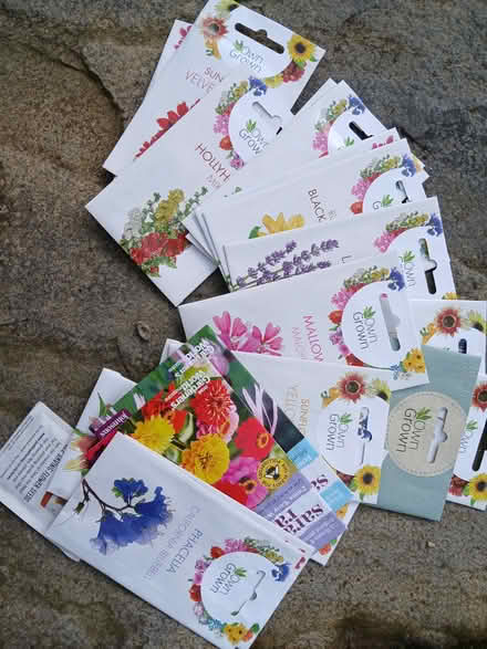 Photo of free Unopened flower seed packets - school project? (Barlestone CV13) #2
