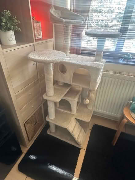 Photo of free Tall cat tree (Ilford) #2
