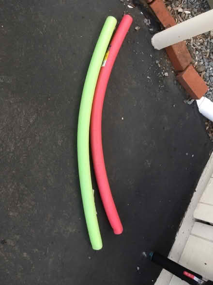 Photo of free Pool noodles (Novato) #1