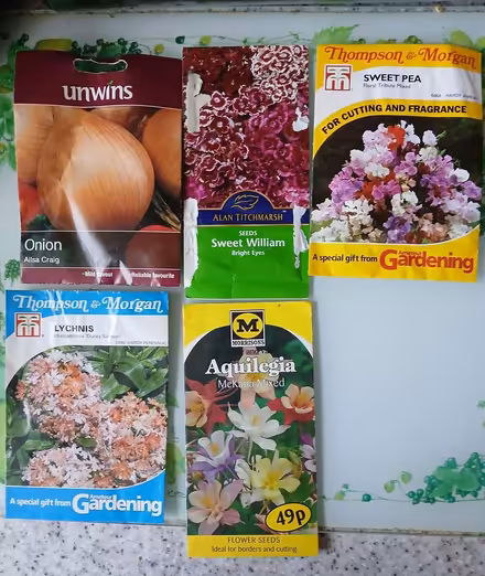 Photo of free 5 Packs Of Seeds (Turnpike Lane N15) #1