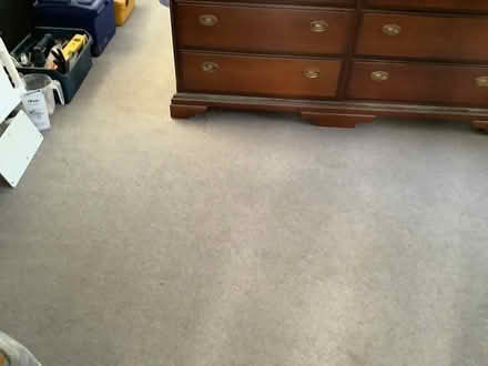 Photo of free Carpet (Boxted co4) #1