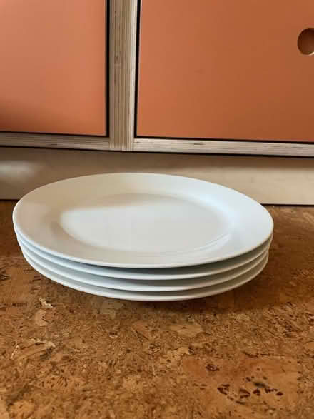 Photo of free Sainsbury’s large plates (Ruskin Park SE5) #1