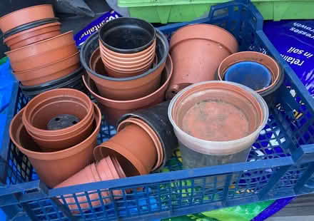 Photo of free Plant pots of various sizes (Calthwaite CA11) #4