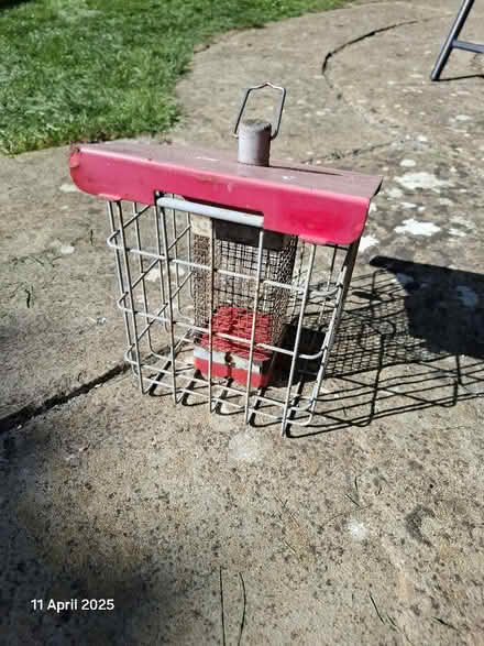 Photo of free Bird Feeder (Kingsdown SN2) #1