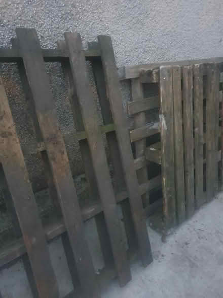 Photo of free Pallets (Appleby-in-Westmorland CA16) #1