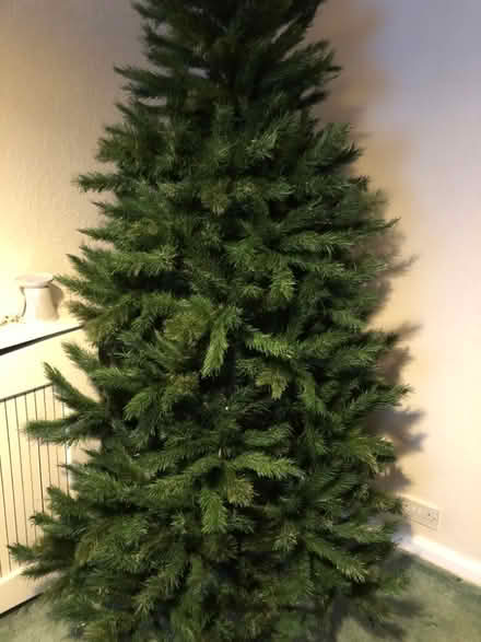 Photo of free Christmas tree (Warrington WA2) #3