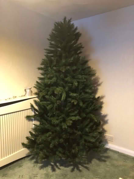 Photo of free Christmas tree (Warrington WA2) #2