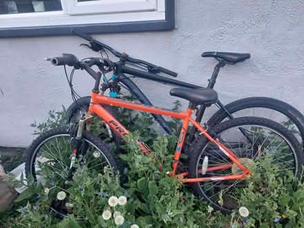 Photo of free 3 bikes need tlc (SY2) #1