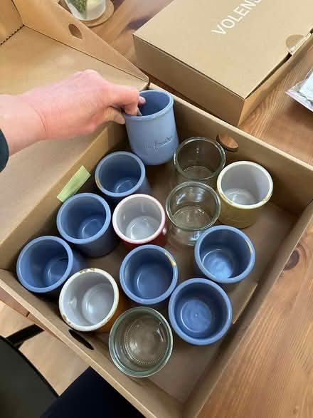 Photo of free Succulent propagation supplies (Porter Square) #1
