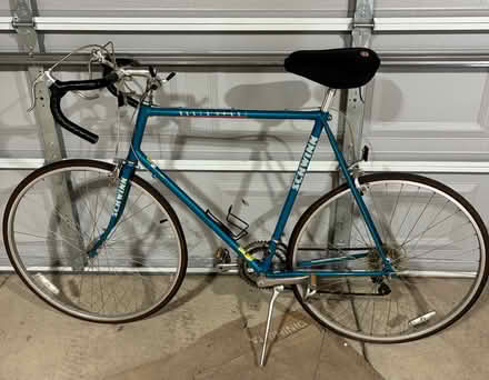 Photo of free Bicycle—25 inch frame (Sauganash south of Rogers Ave) #1