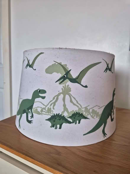 Photo of free Dinosaur lamp shade and polka dot light pink shade (Tanyard Farm estate CV4) #1