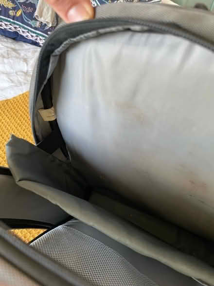 Photo of free Backpack (Cambridge CB3) #3
