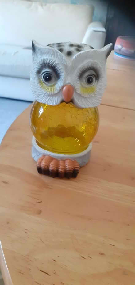 Photo of free Solar powered Garden owl ornament (Reading RG6) #1