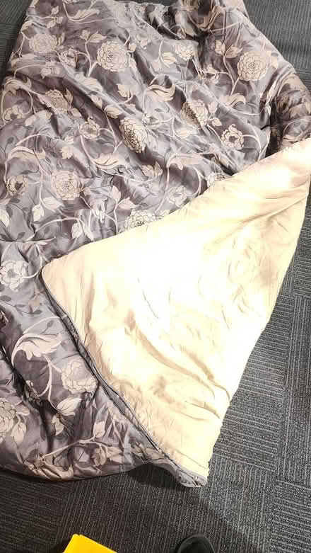 Photo of free Queen Comforter with 2 pillow shams (Reford township) #3